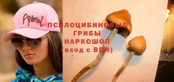 стафф Балабаново