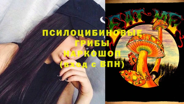 PSILOCYBIN Баксан