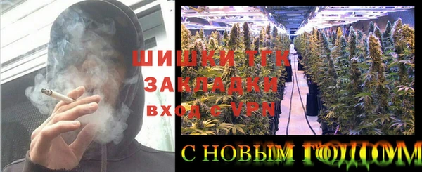 PSILOCYBIN Баксан