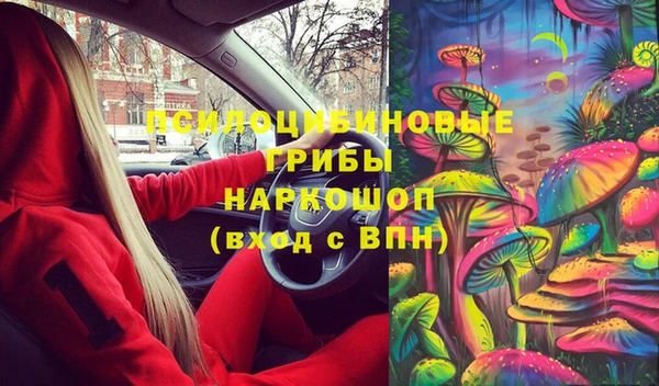 PSILOCYBIN Баксан
