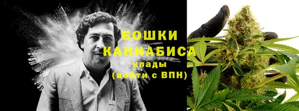 стафф Балабаново