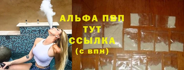 PSILOCYBIN Баксан